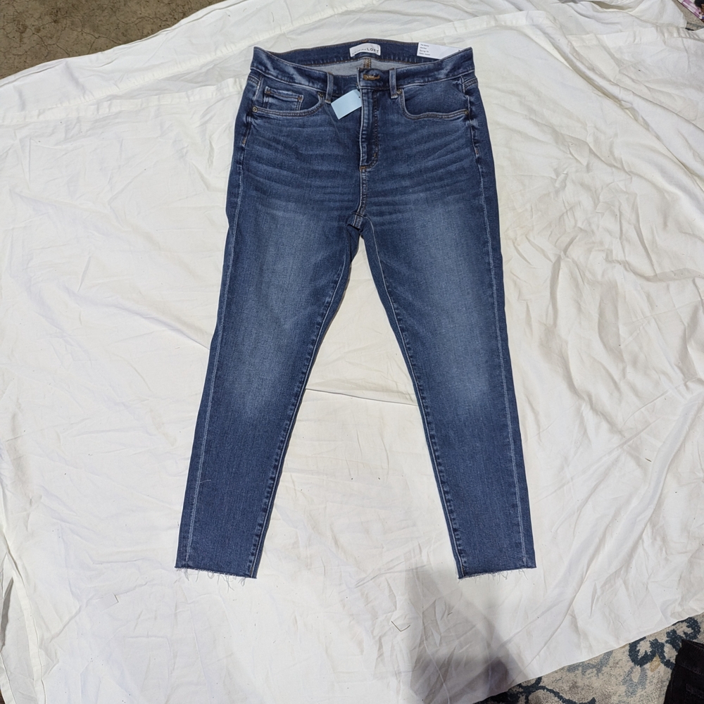 Women's Loft The Skinny Blue Jeans